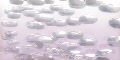 107204